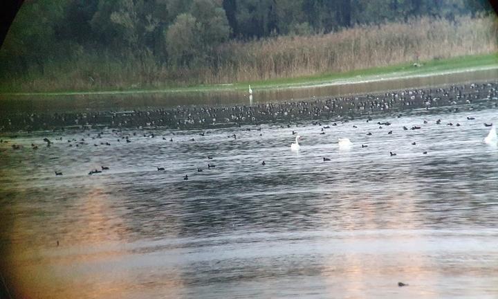 Wirtshaus zur Hirschauer Bucht